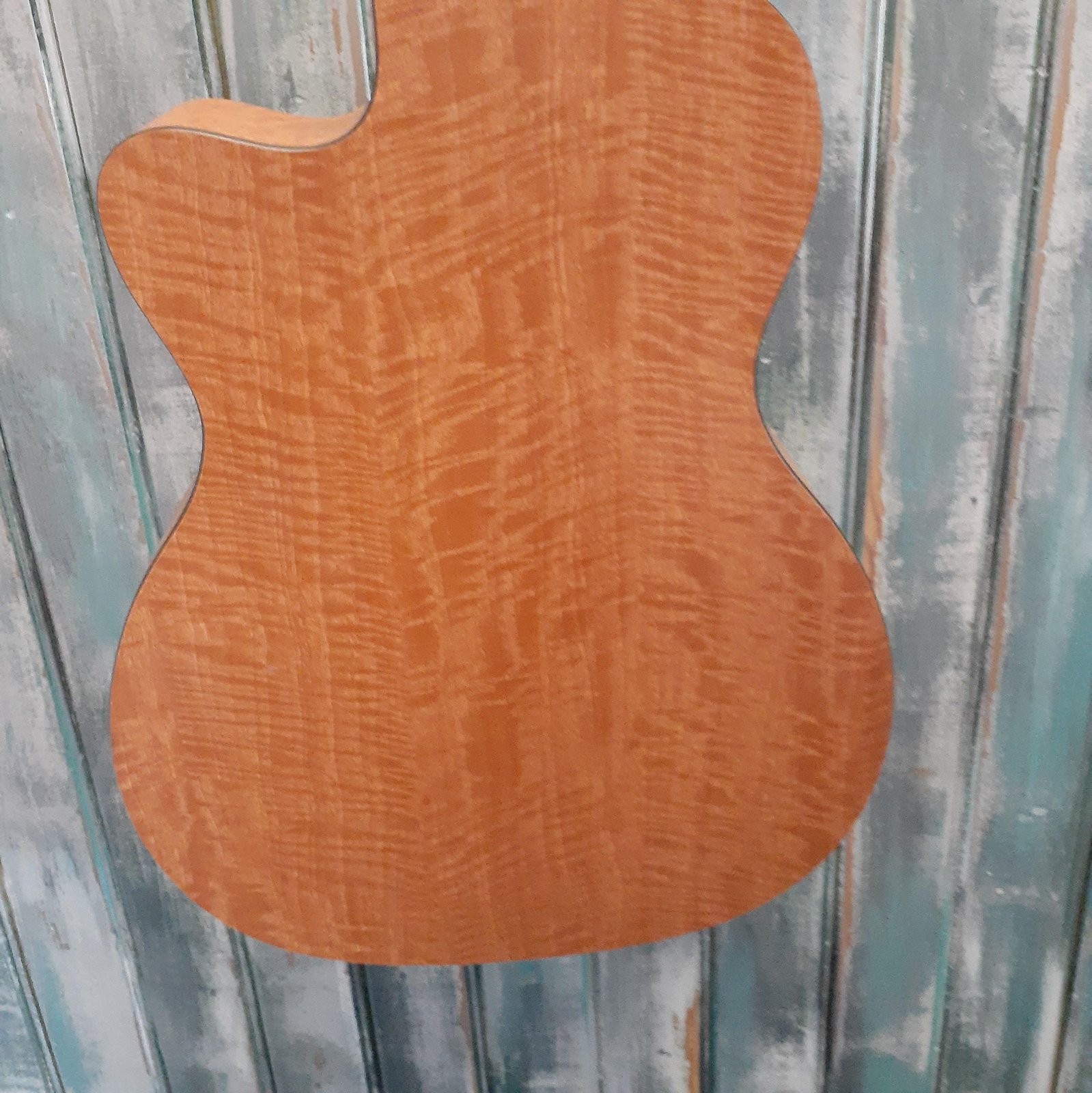 Martin & Co. XC1T ellipse カッタウェイ Martin & Co. XC1T ellipse カッタウェイ