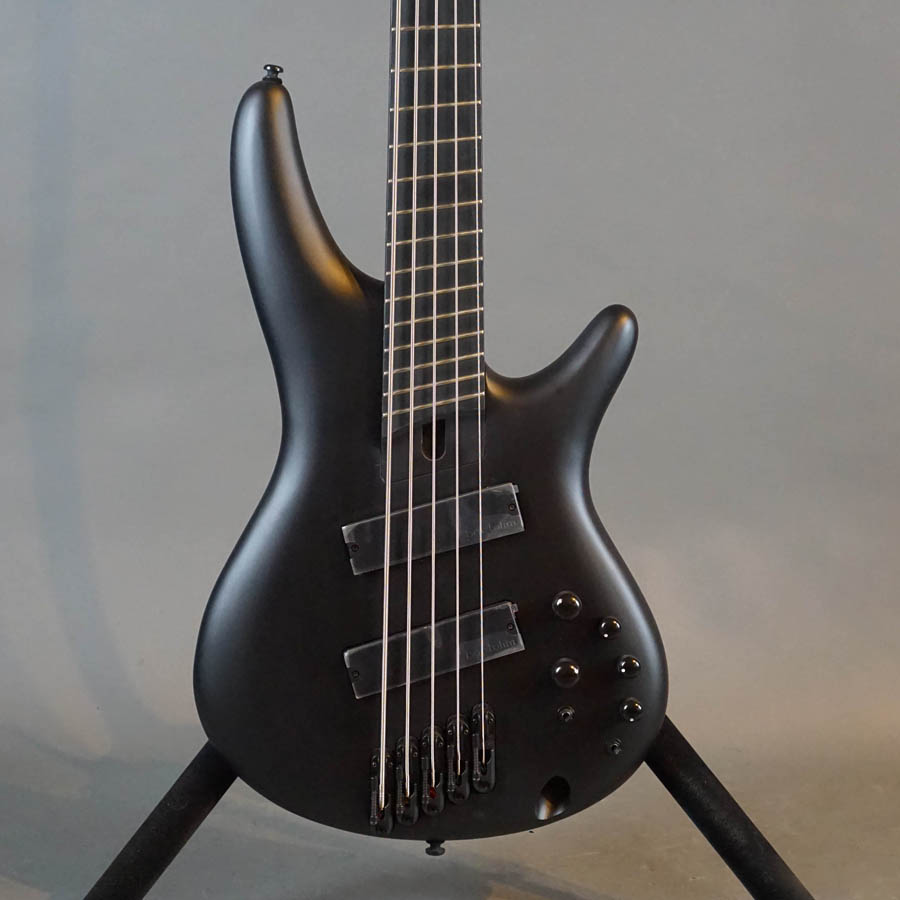 Ibanez Iron Label SRMS625EX-BKF Multi-Scale 5-String Bass