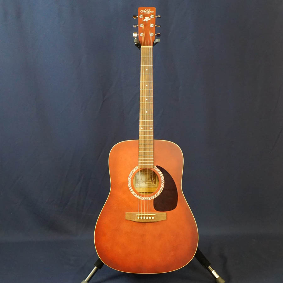 全商品オープニング価格！ テイラー taylor 110CE 訳あり（2025 美品 エレアコ トップ単板 ギター