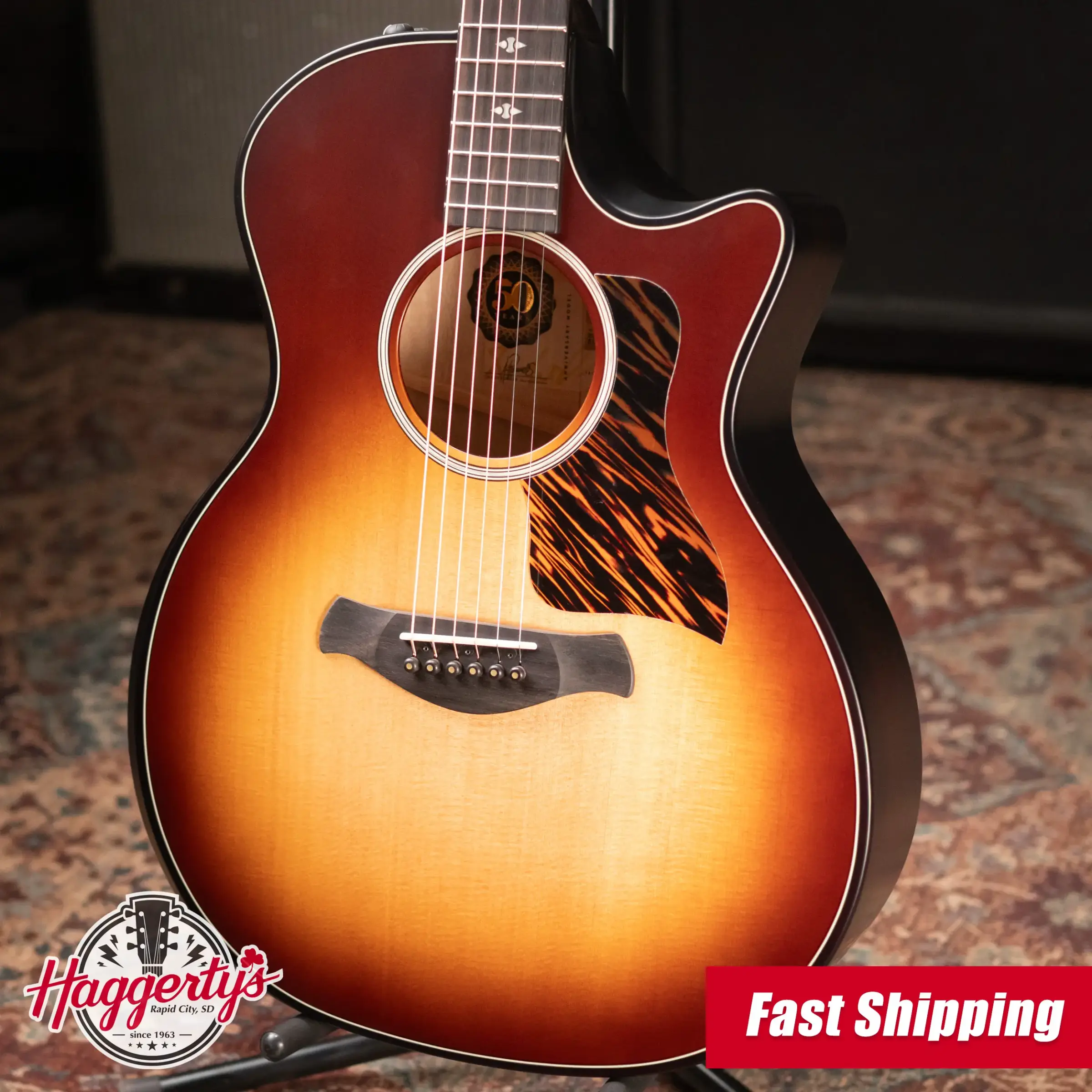 テイラー110-cc Taylor LTD Series