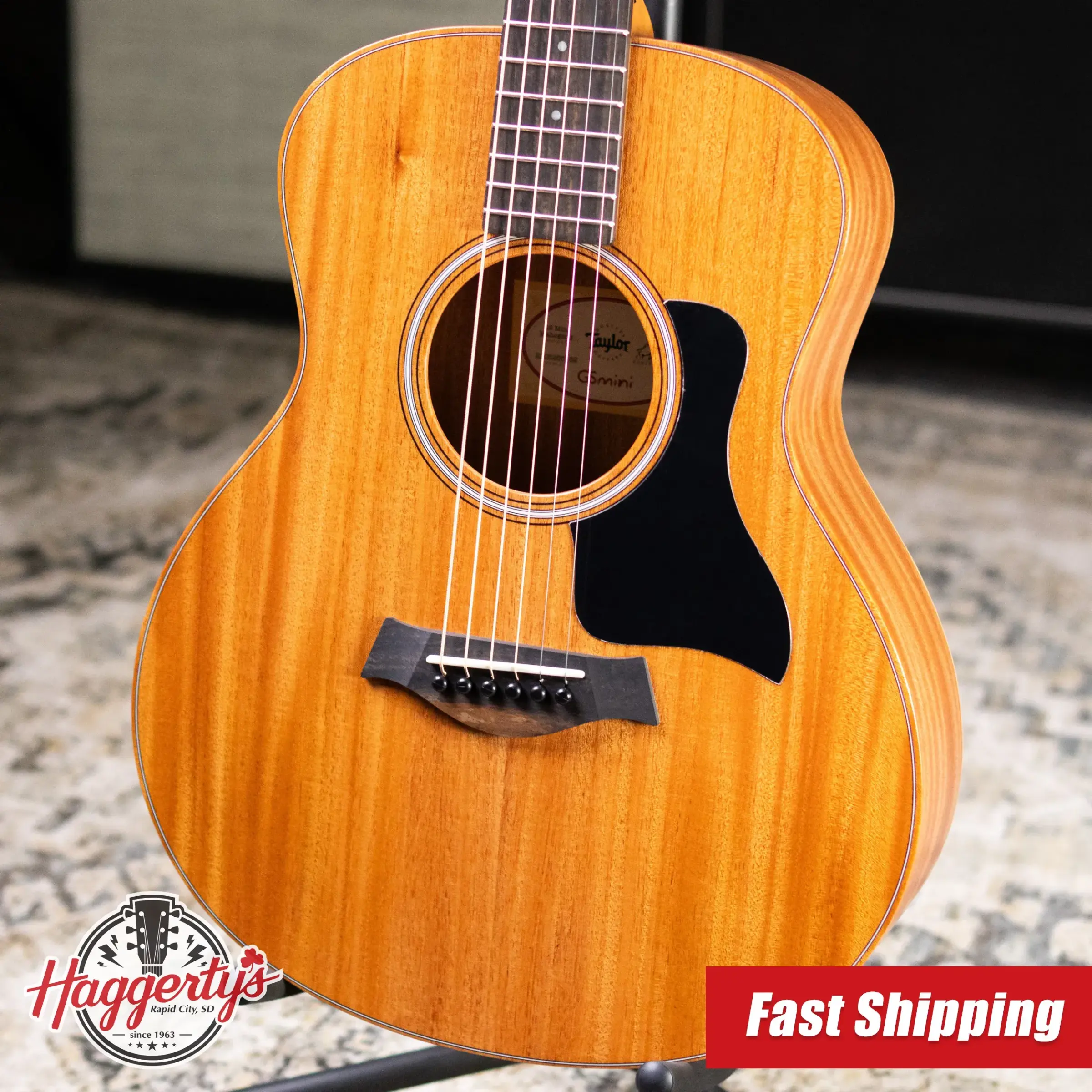 Taylor GS Mini Series