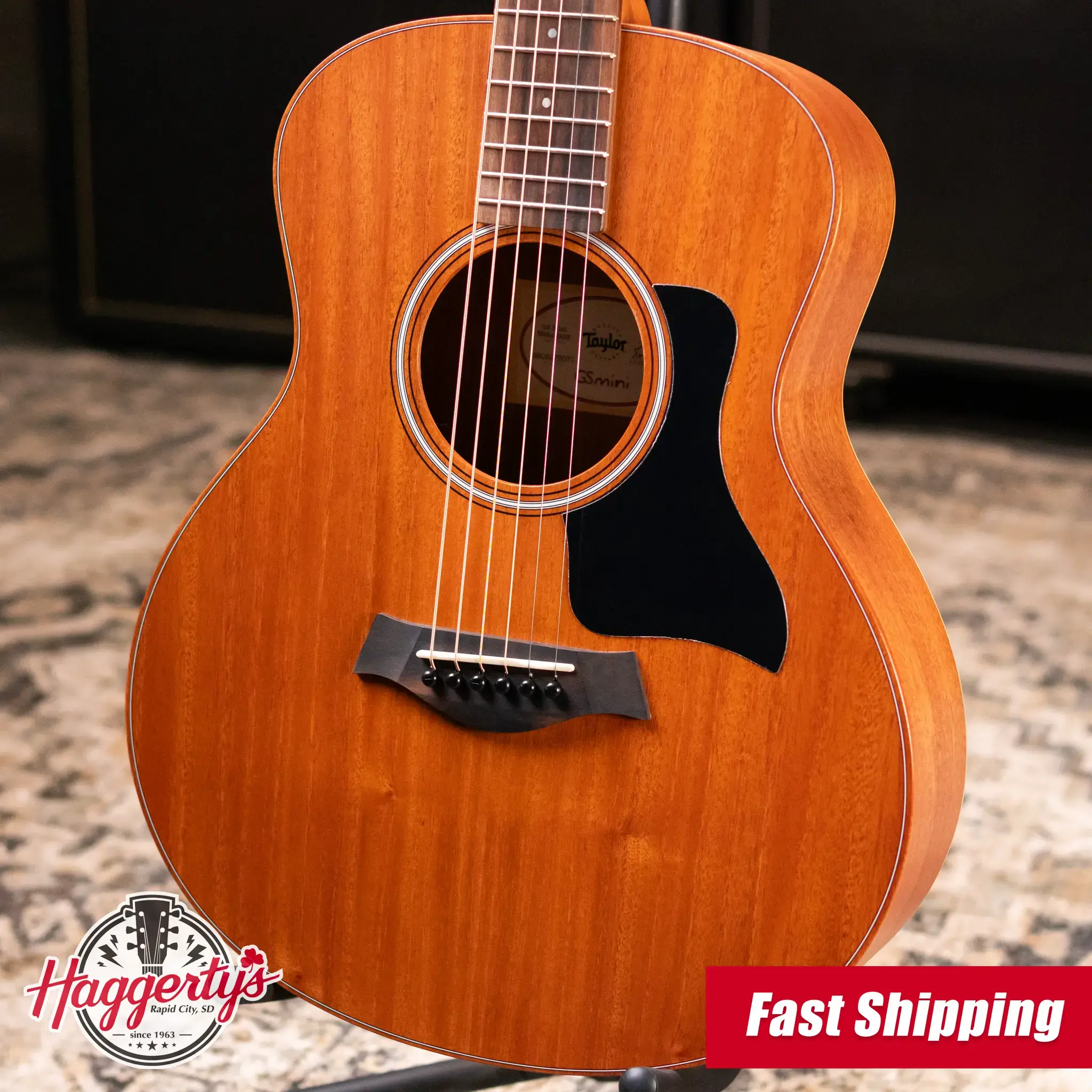 Taylor GS Mini Series