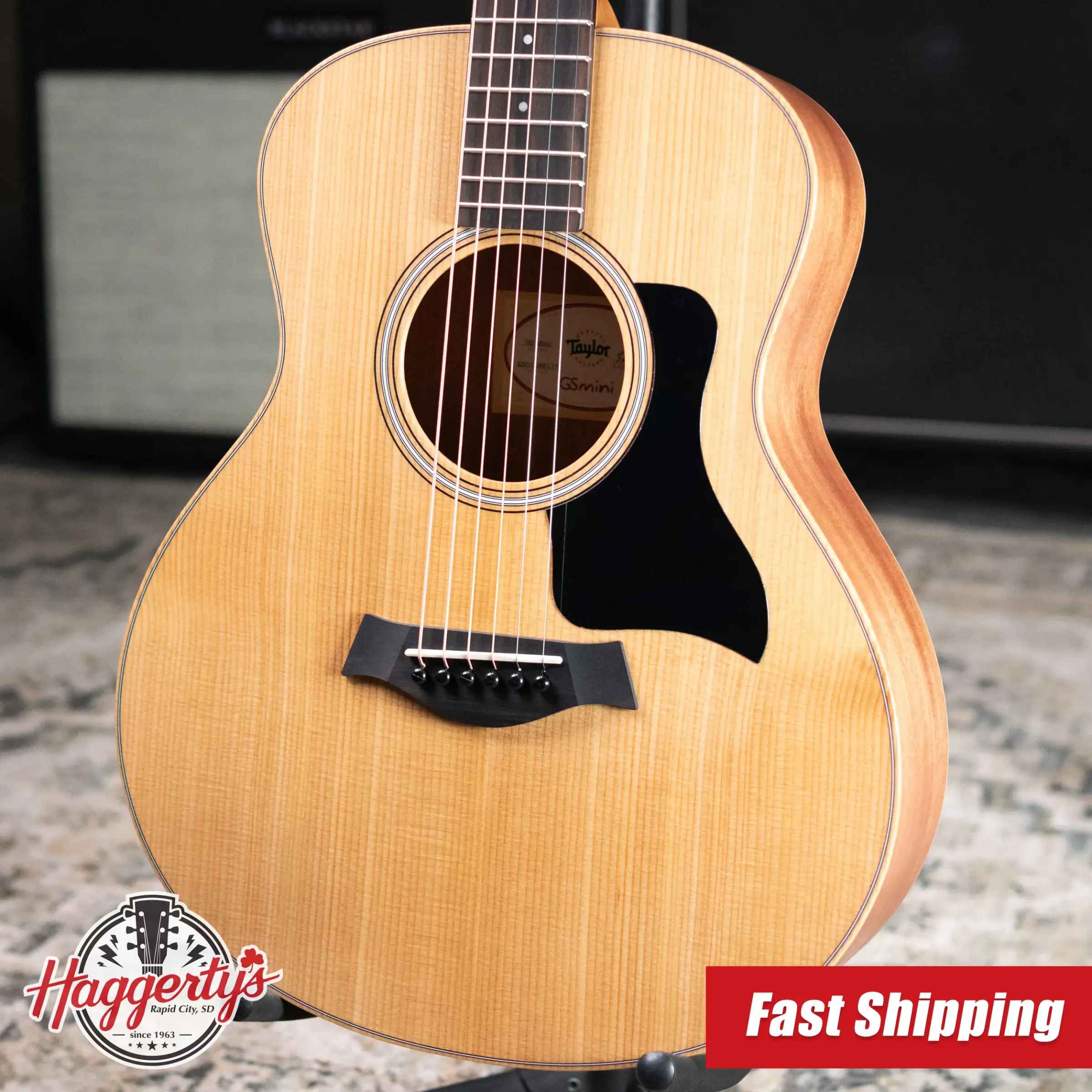 Taylor GS Mini Series