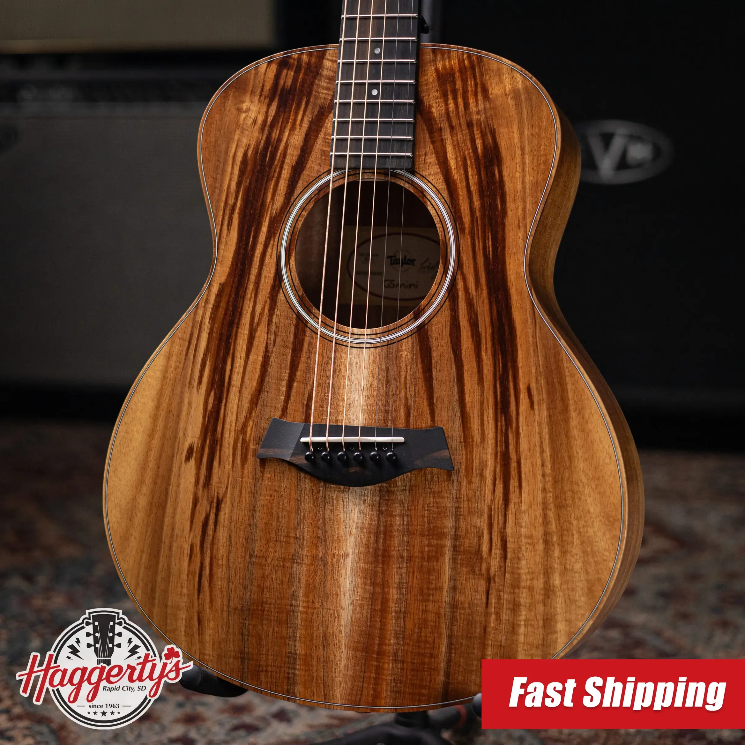 Taylor GS Mini Series