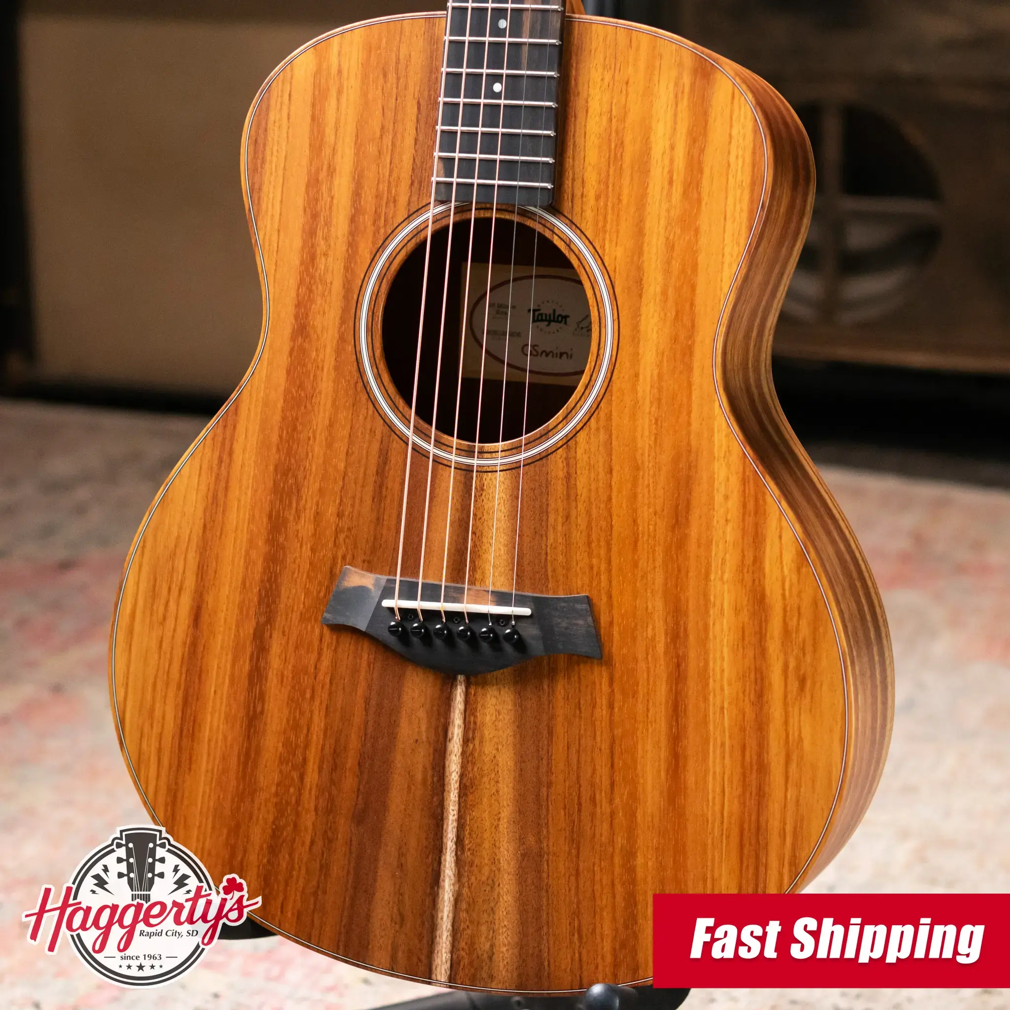 Taylor GS Mini Series