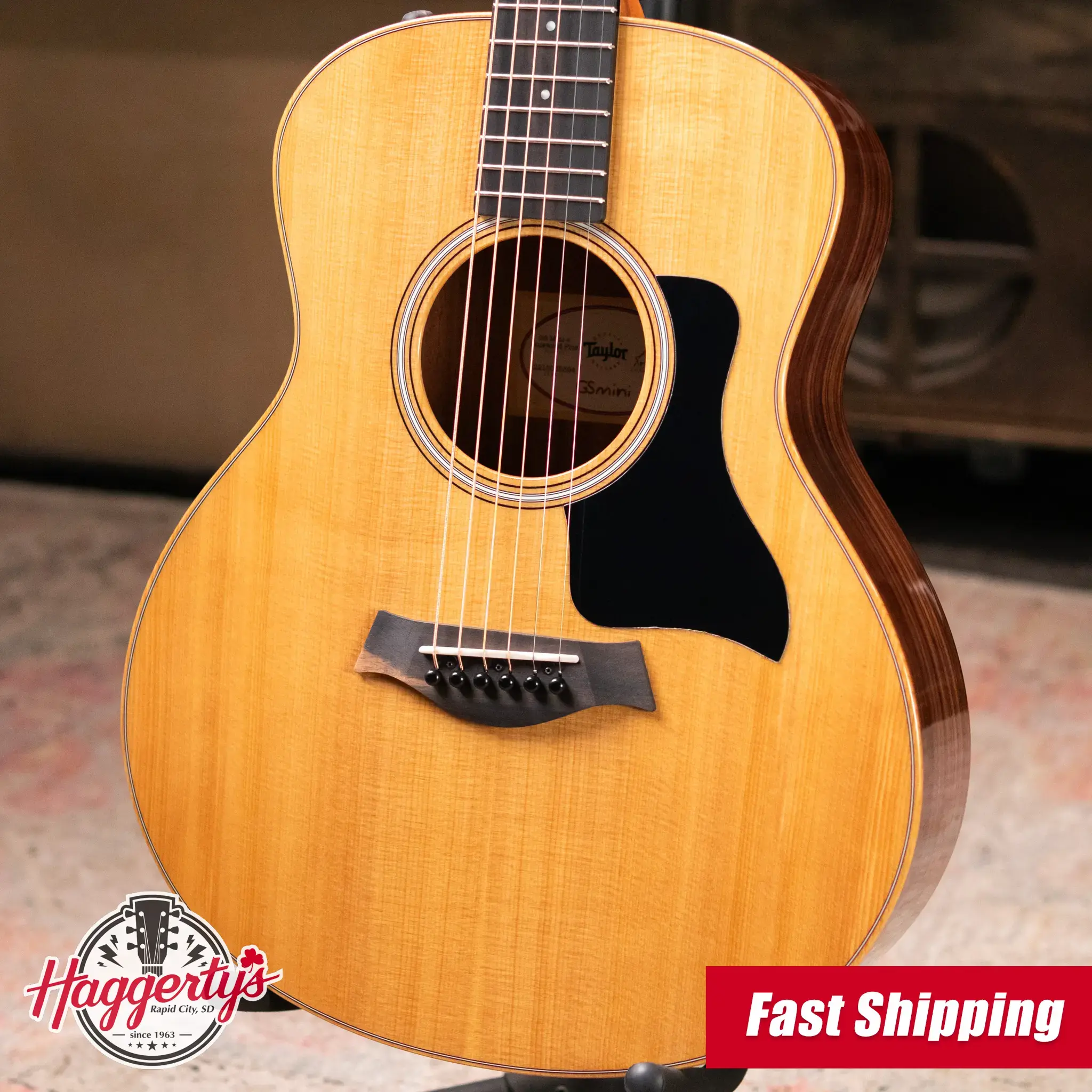 Taylor GS Mini Series