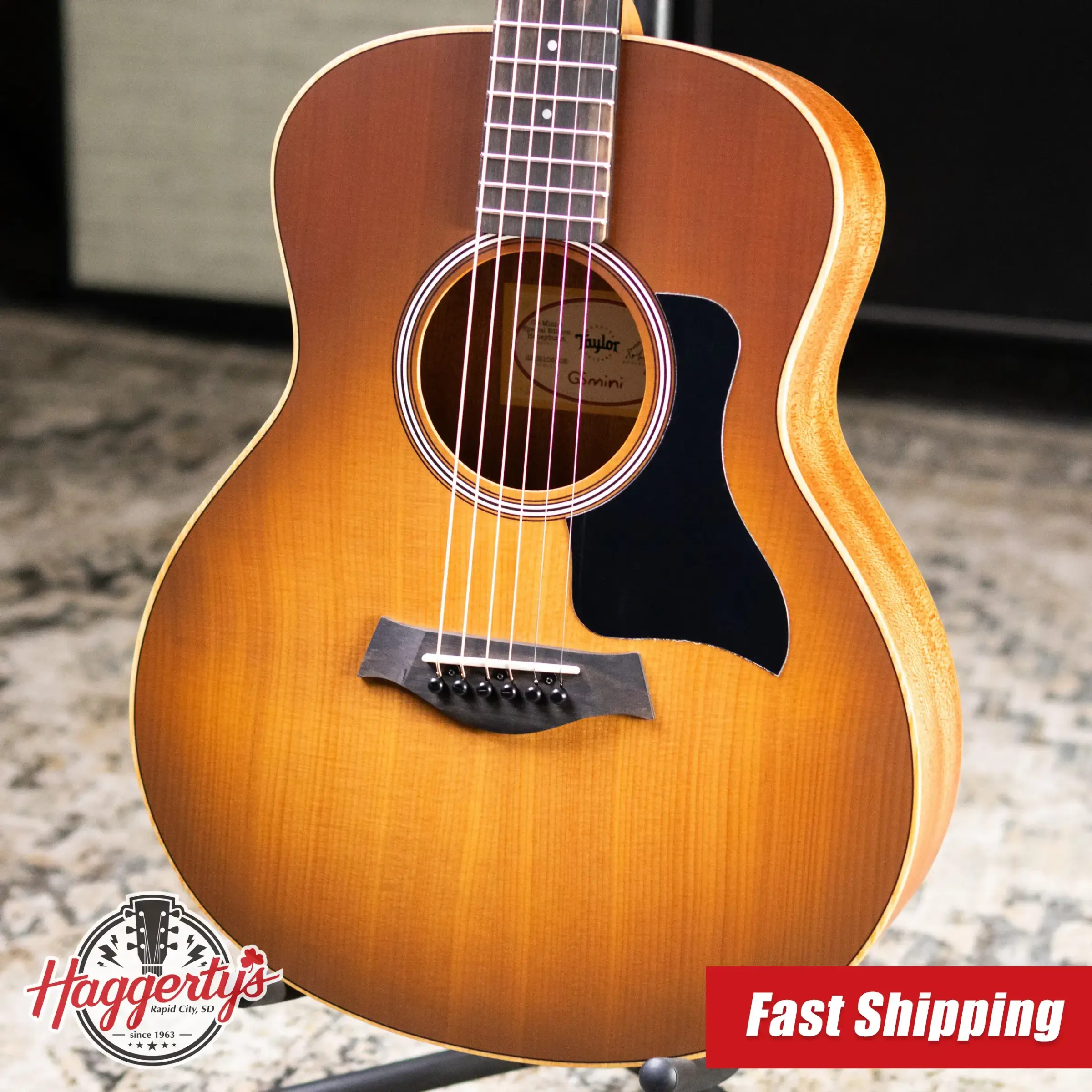 Taylor GS Mini Series