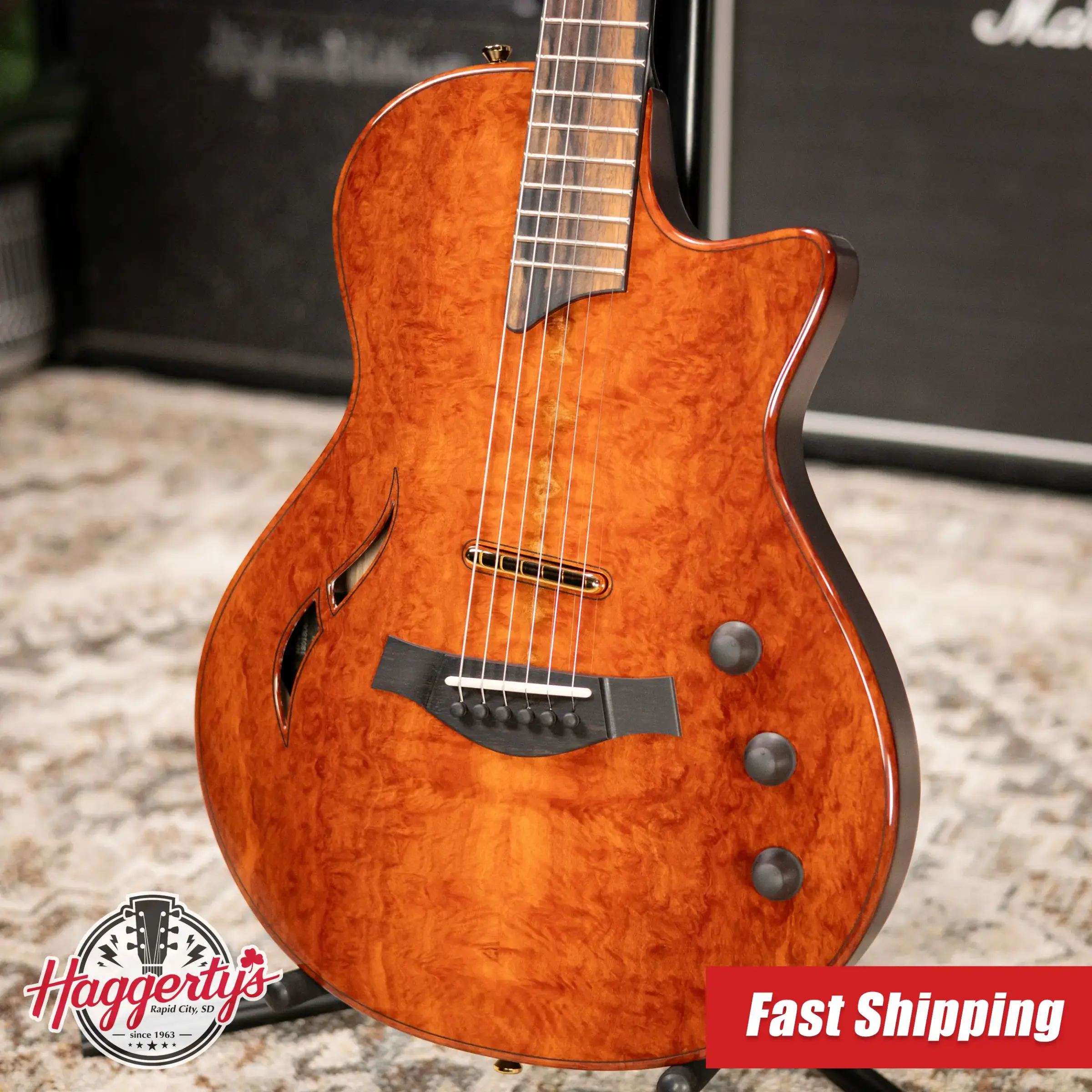 テイラー Taylor Electric Series