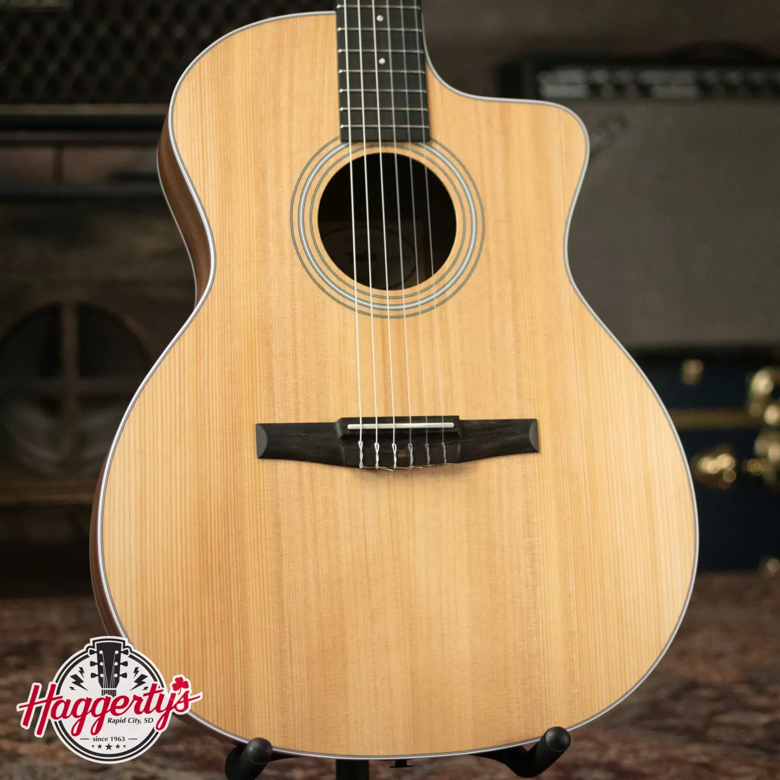 Taylor Guitars