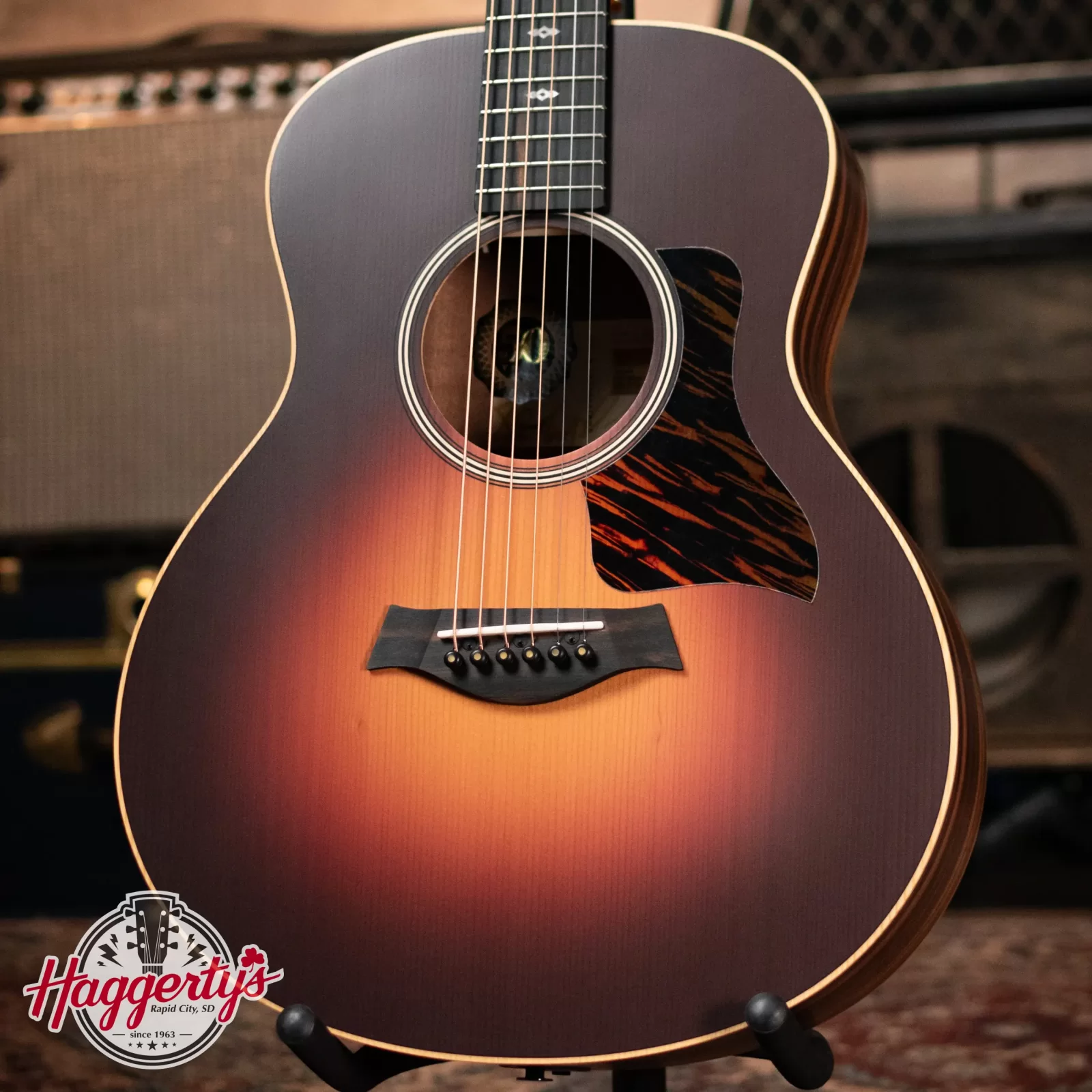 Taylor GS Mini Series