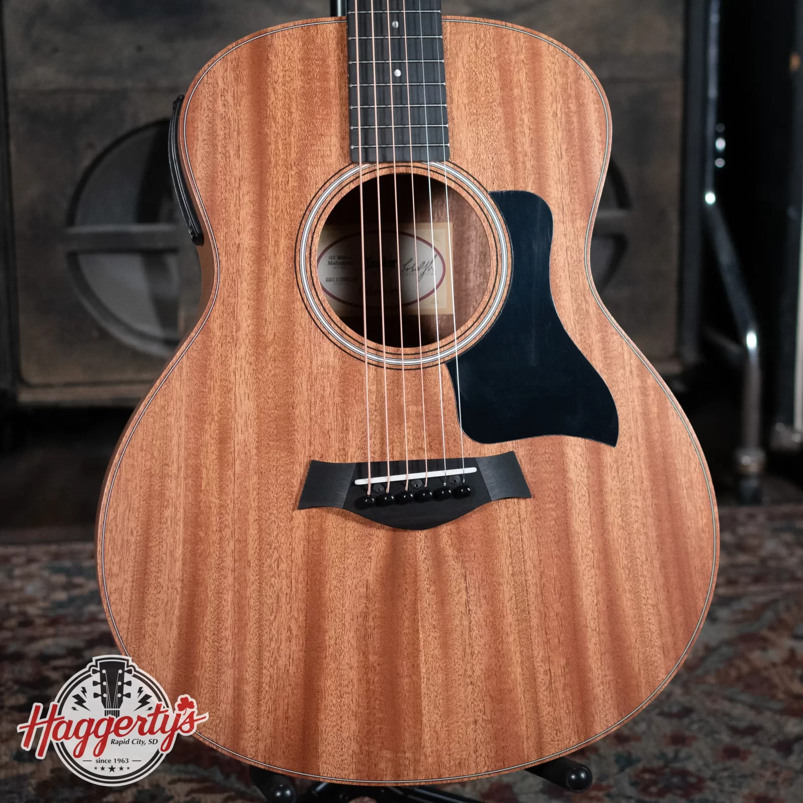 Taylor GS Mini Series