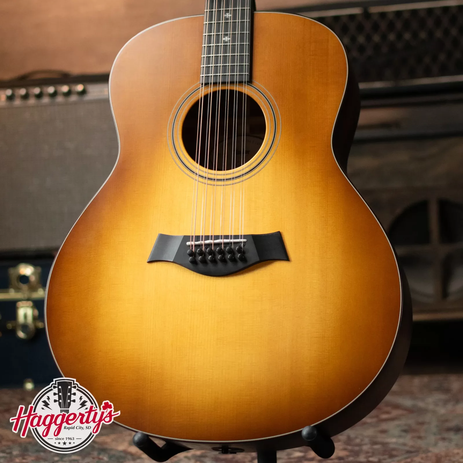 Taylor 300 Series