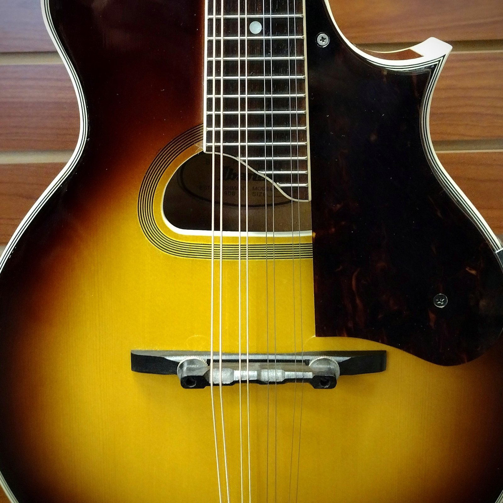 Geordie Mandoliniさん専用 Kentucky KM-252 Deluxe A-Model Mandolin – Transparent Amber