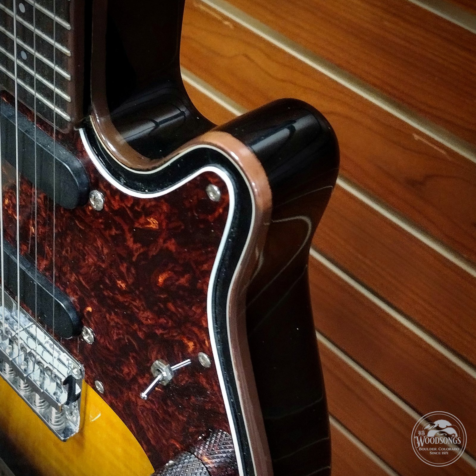 Fender FM-60S Mandolin Solid Spruce Top Maple Neck Rosewood