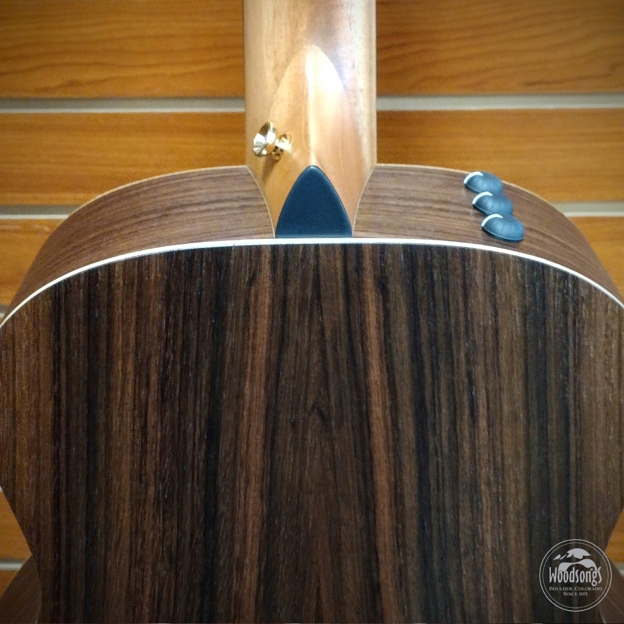 Taylor GS Mini-E Rosewood LTD 50th Anniversary - 00887766132844