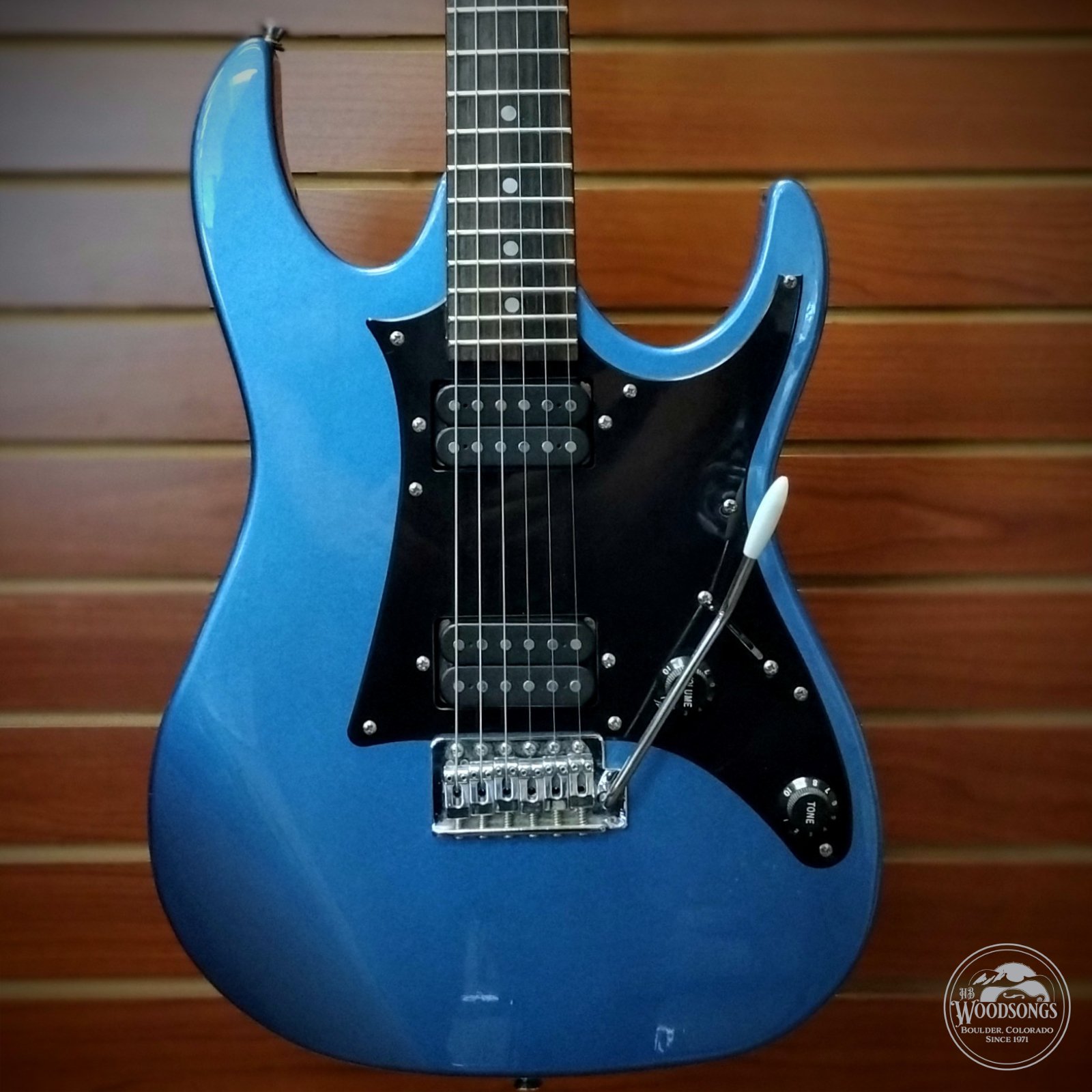 USED Ibanez Gio Blue