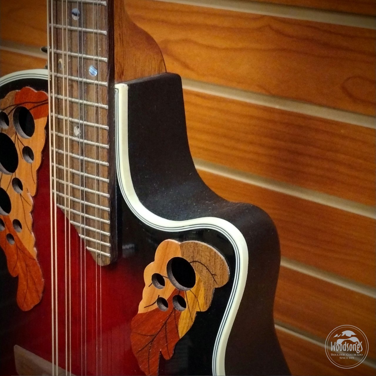 OVATION　Celebrity Mandolin MCS-148 Ovation Mandolin MCS148 - Folkmusician