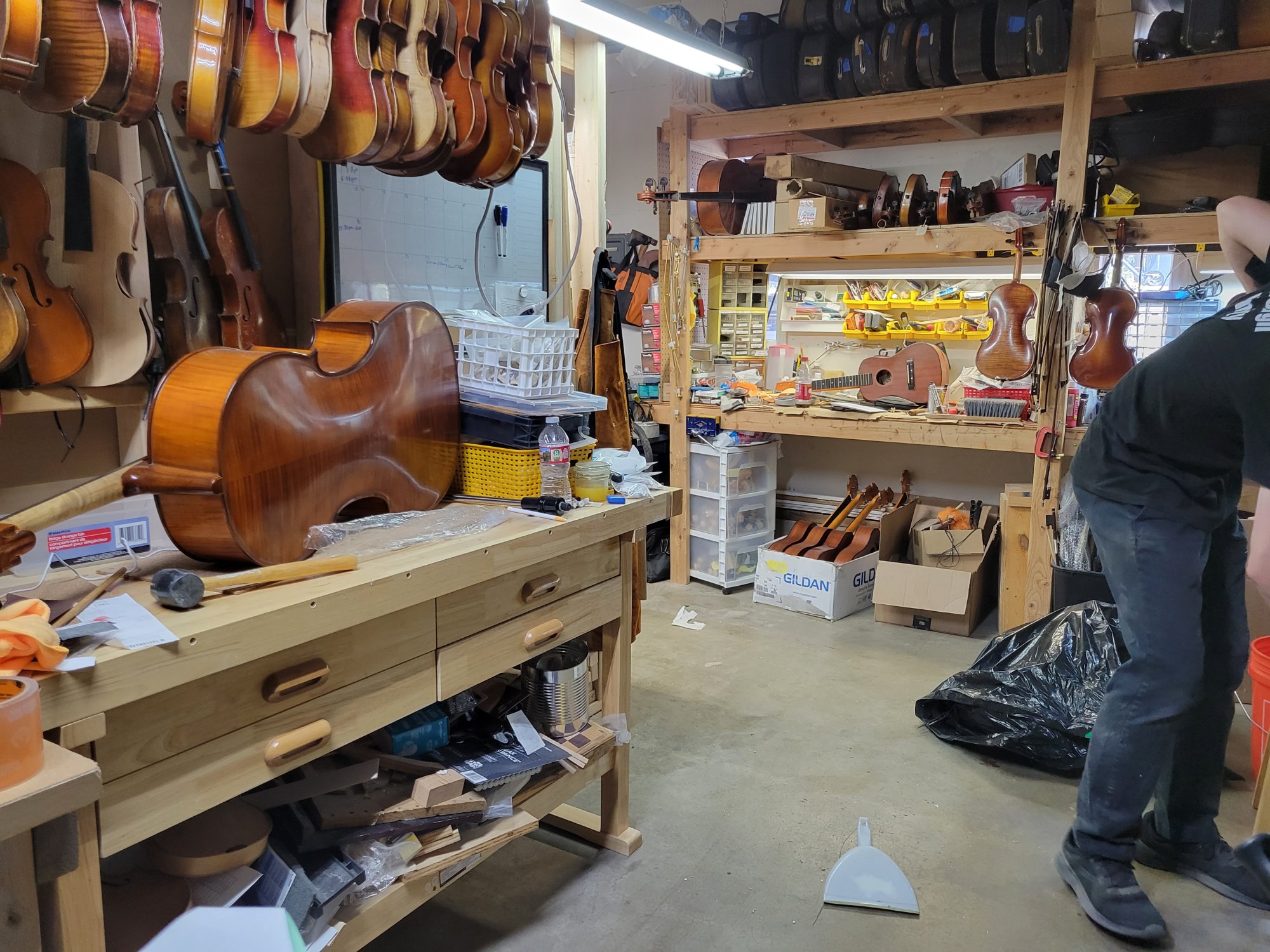 Coda Strings Instrument Restoration