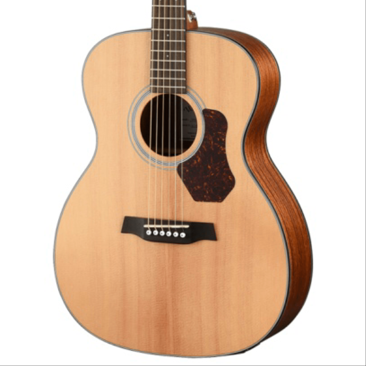 Walden - Natura 500 Series - Orchestra Sitka Spruce Top - Acoustic Guitar