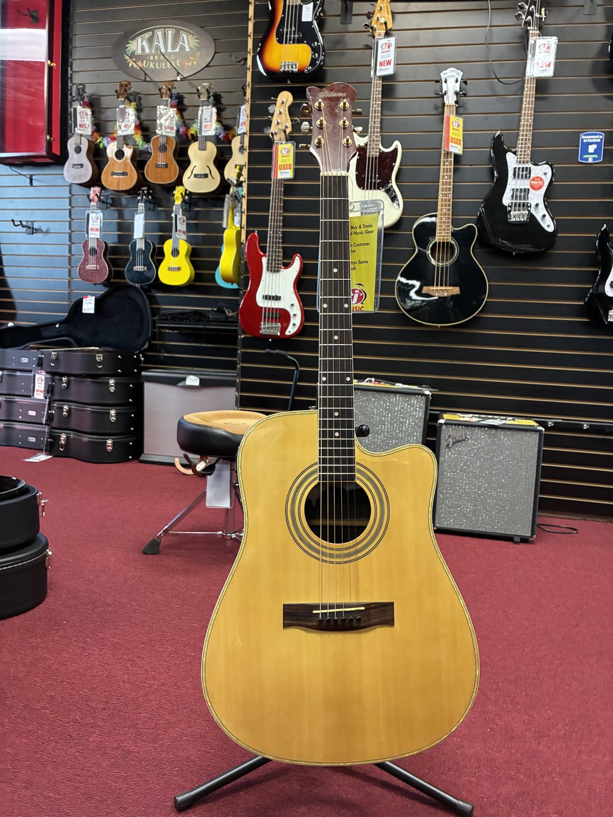 Acoustic Guitars