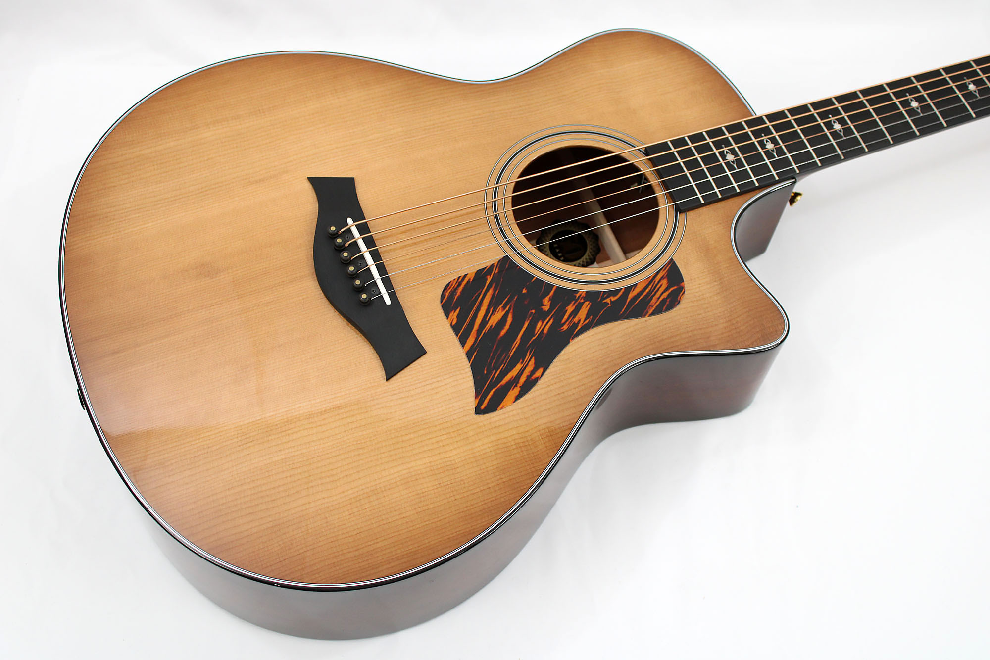 Taylor 316ce Baritone 6 String Acoustic-Electric Guitar Limited Edition *DEMO MODEL*