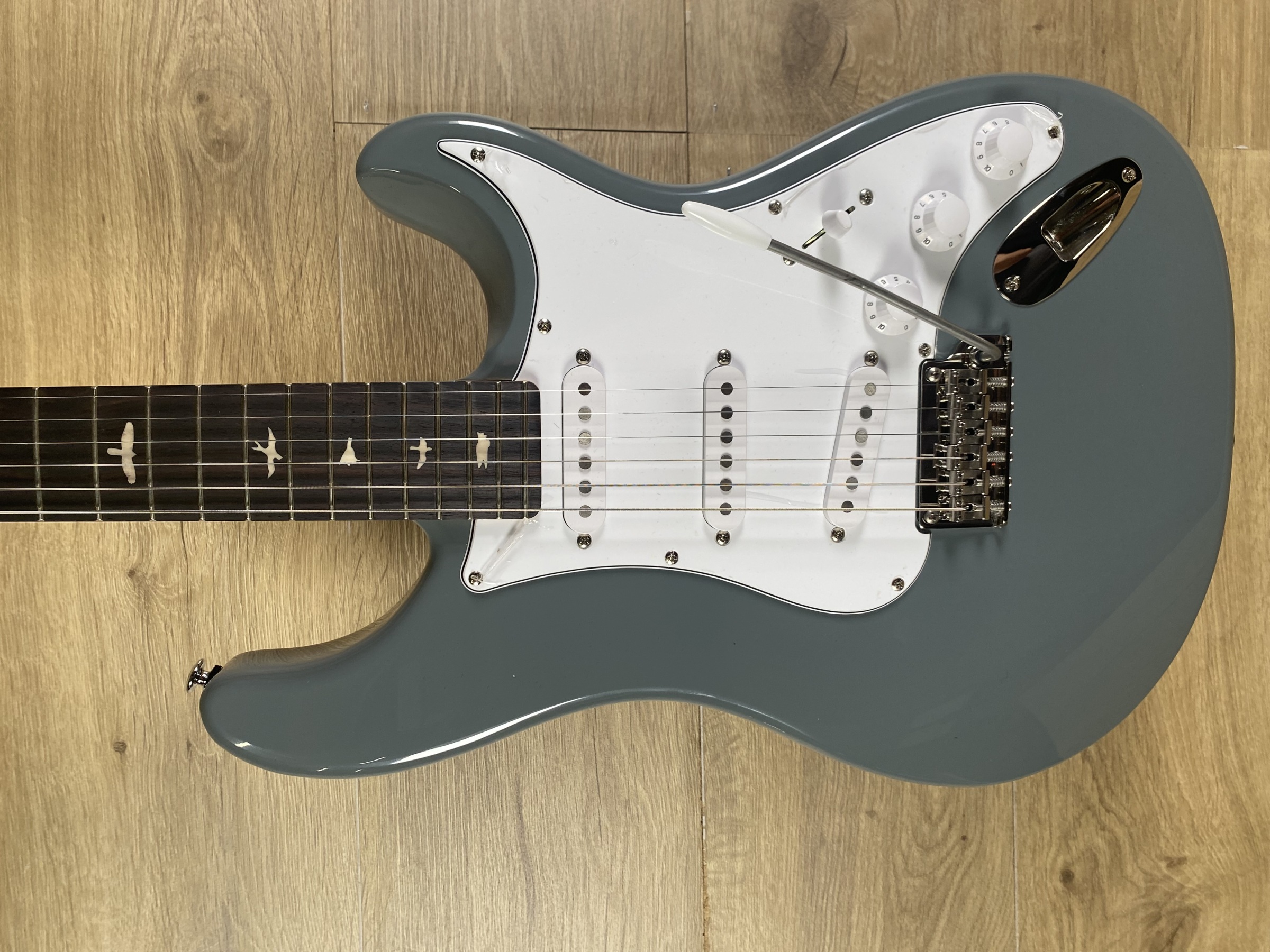 PRS SE Silver Sky, Storm Gray