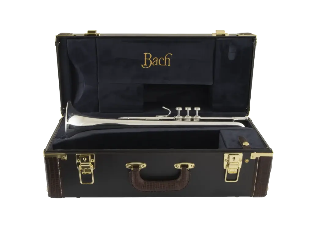 Bach_180S37_Stradivarius_Profe