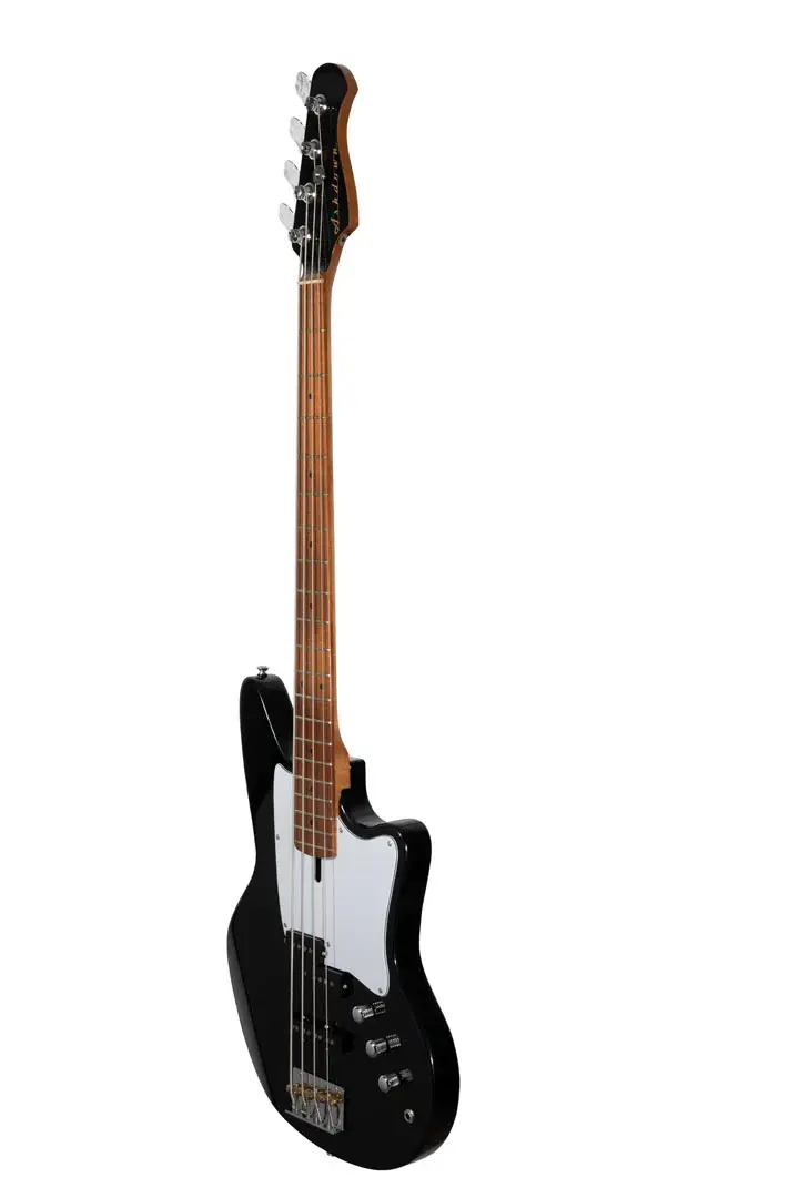 THE DRIPPER BOX DAMNGOOD!!×NATURE TONES Dingwall Custom Z3, 5-String, 3x Pickups, Dual Density Swamp