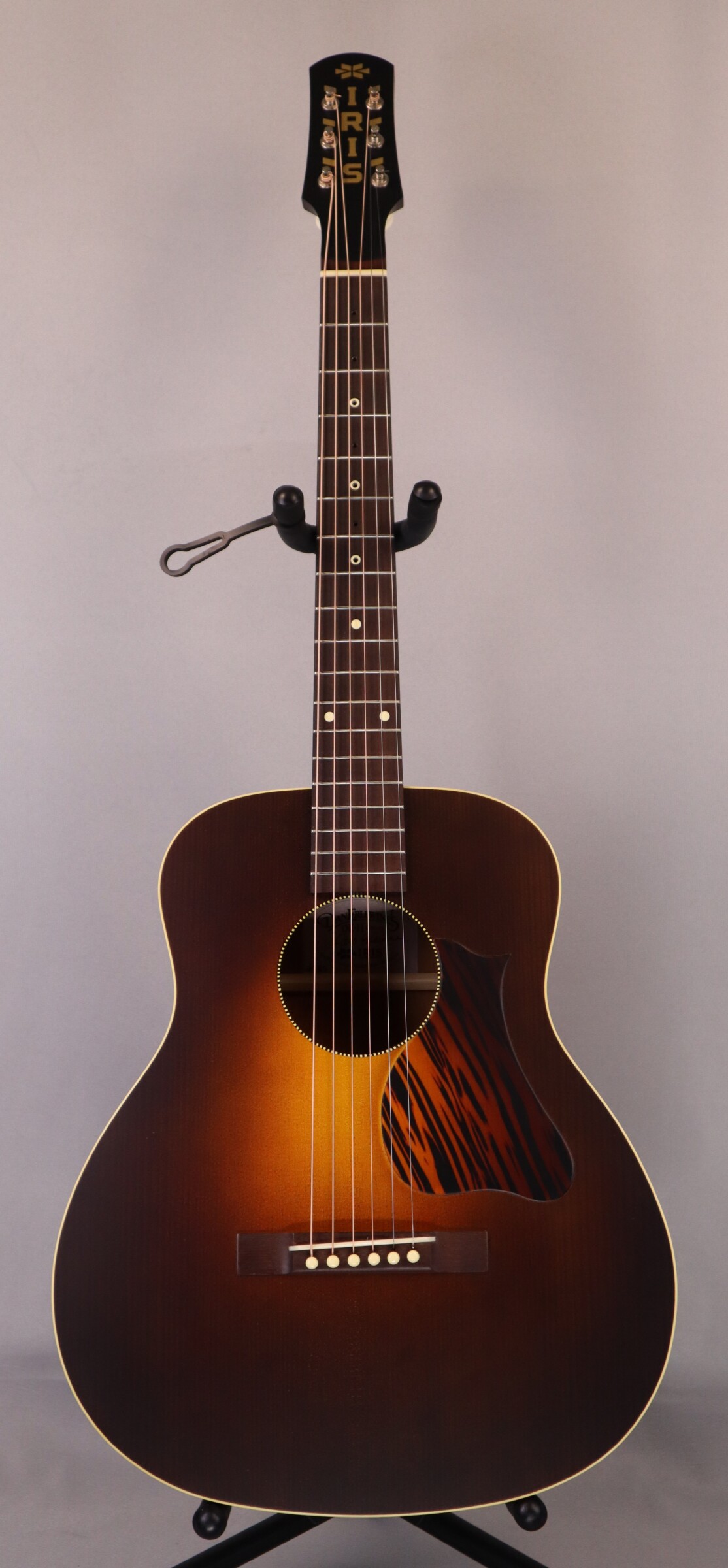IRIS DE-11: DAN ERLEWINE MODEL, Adirondack Spruce Top, Mahogany back and sides, ladder braced.