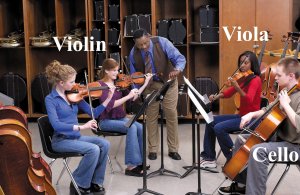 Strings