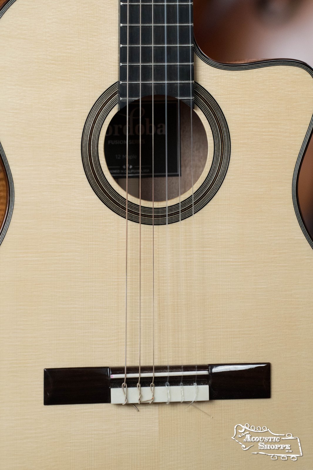 cordoba 12 maple エレガットギター - 楽器/器材