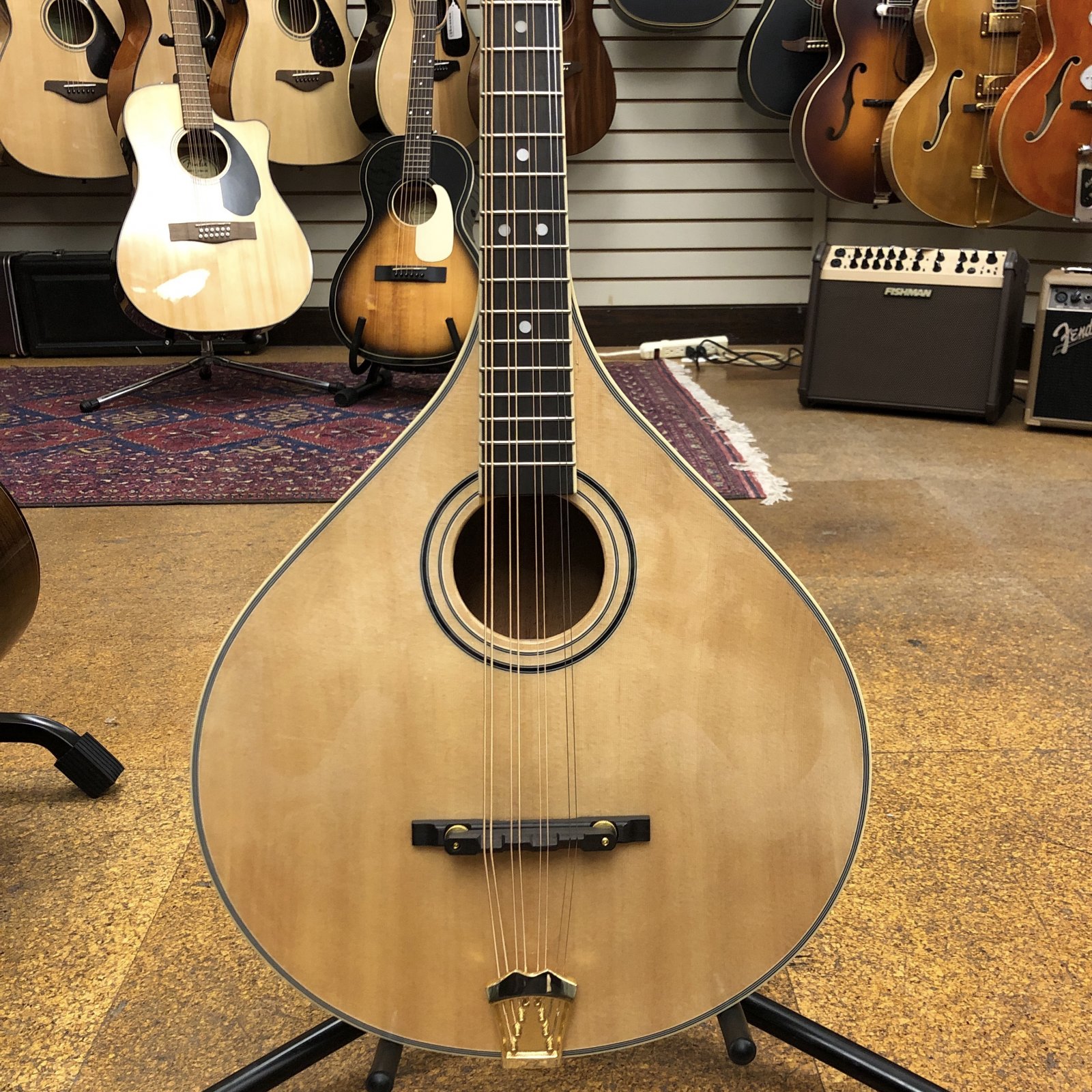 Gold Tone OM-800+ Octave Mandolin (Mahogany)