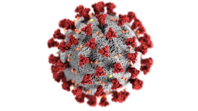 The COVID-19 virus.