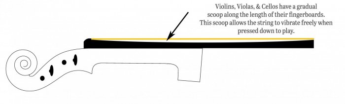 A diagram of a violin neck with fingerboard. An arrow points to the center of the fingerboard, highlighting a gradual scoop along the fingerboard's length.