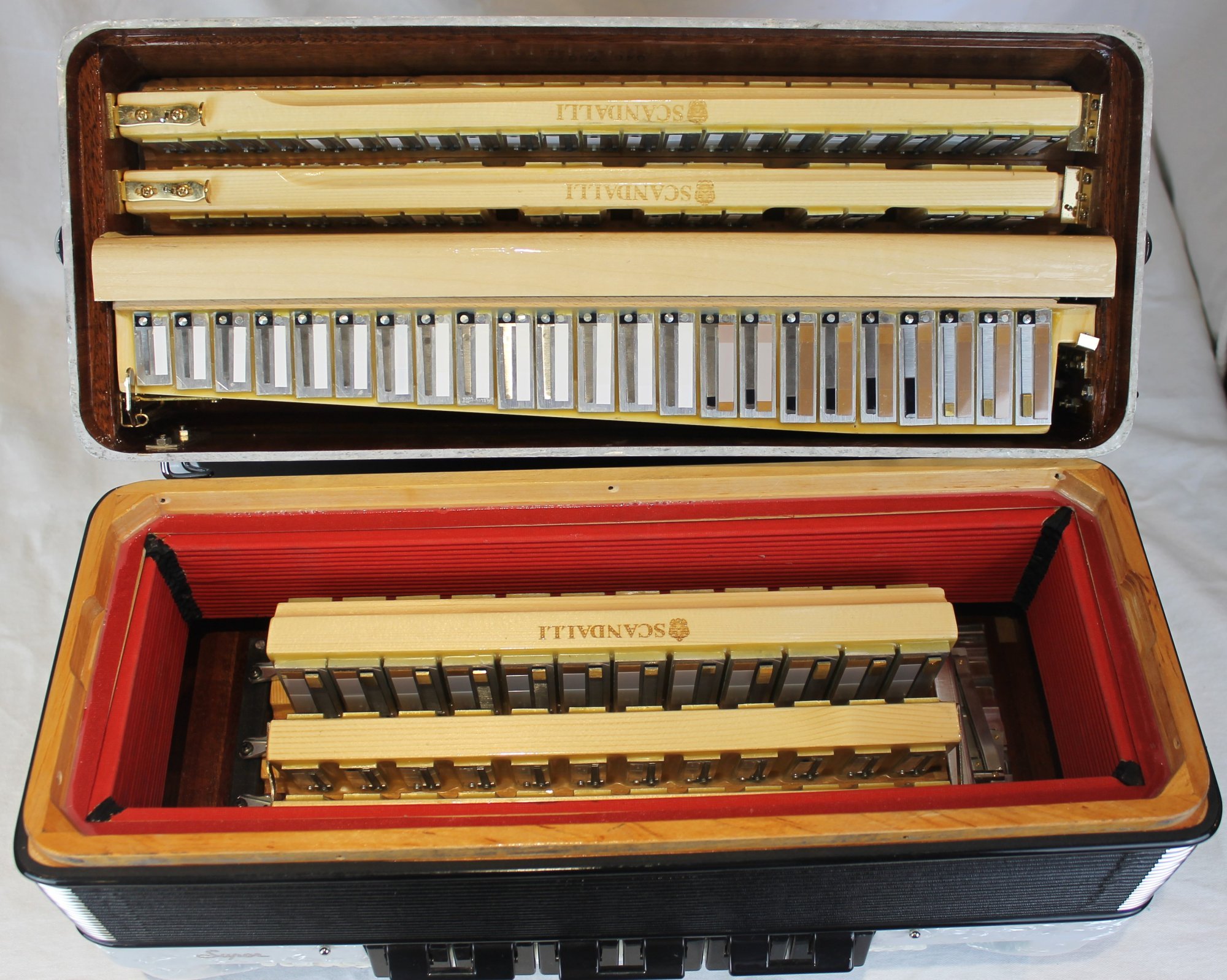 NEW White Scandalli Super L Piano Accordion LMMH 41 120