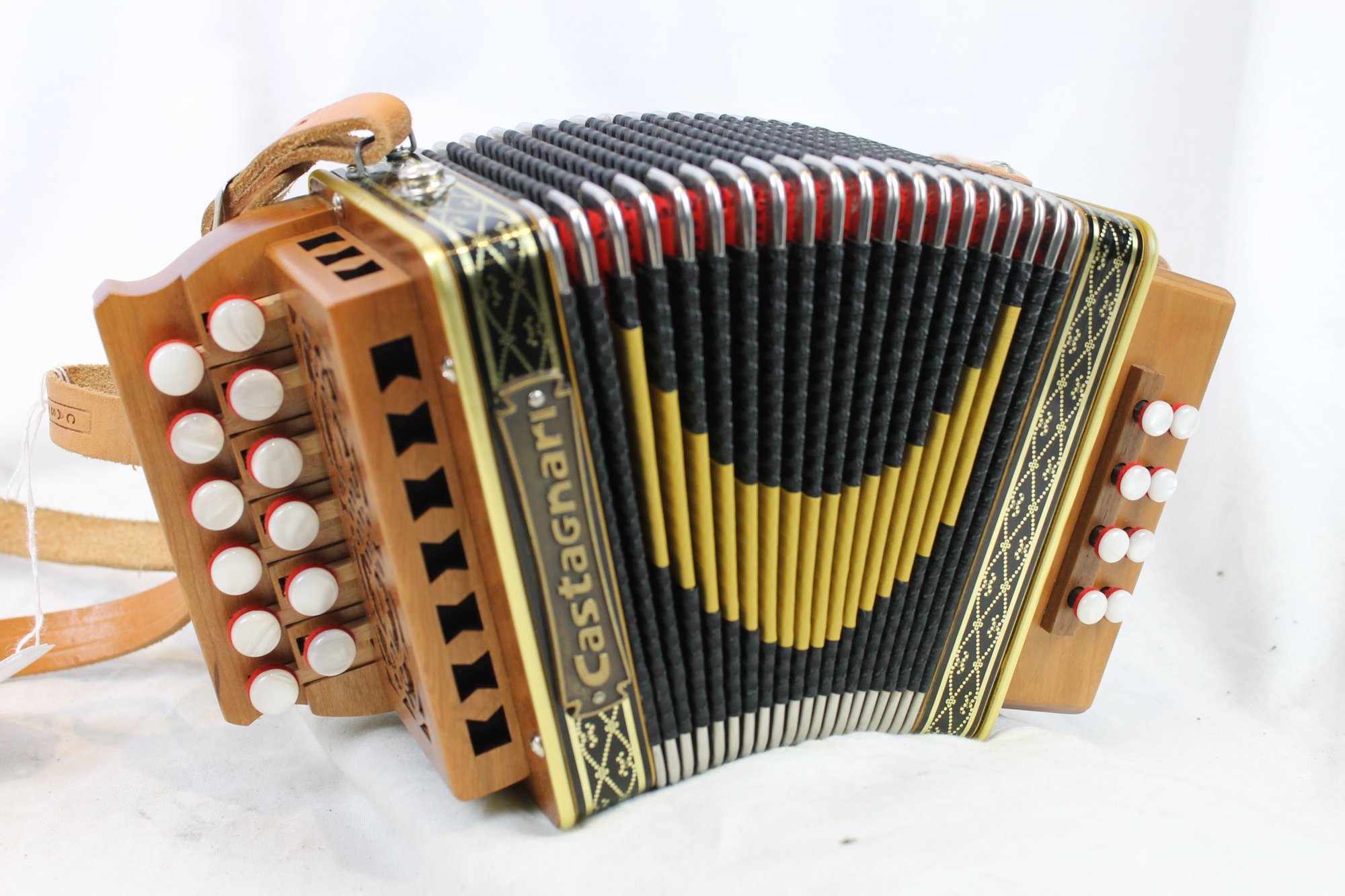 Diatonic Button Accordions