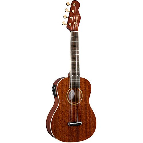 FOLK & WORLD INSTRUMENTS