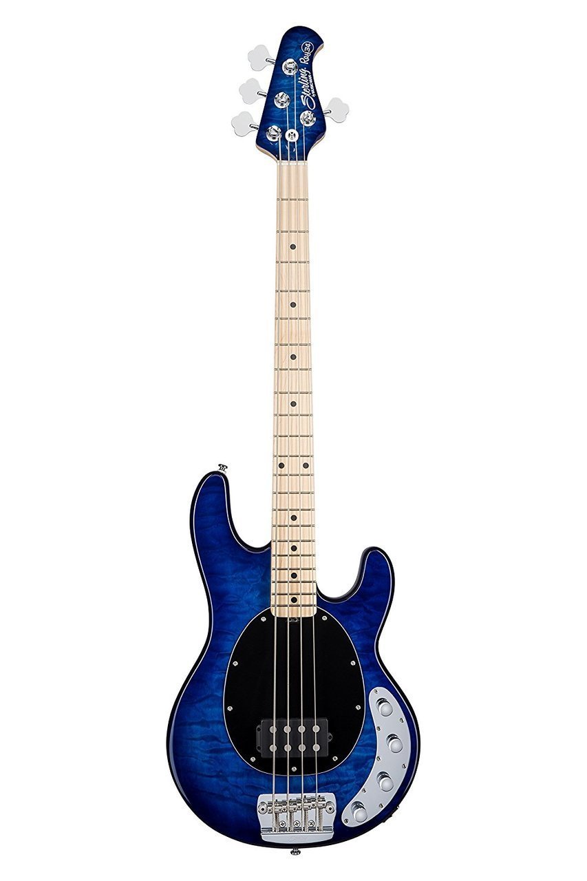 BASS GUITARS
