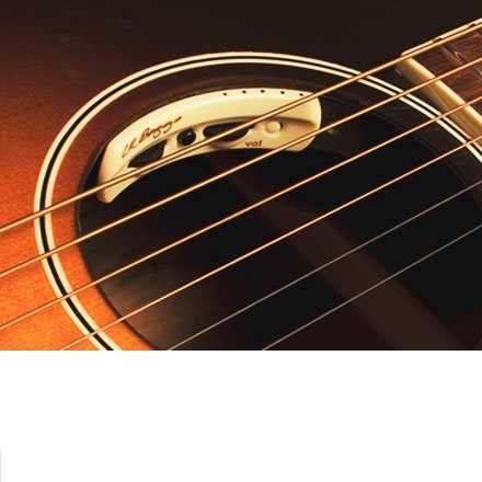Taylor 314ce LR Baggs Anthem付き Taylor 314CEA Anthem Equipped V Brace Grand Auditorium with case