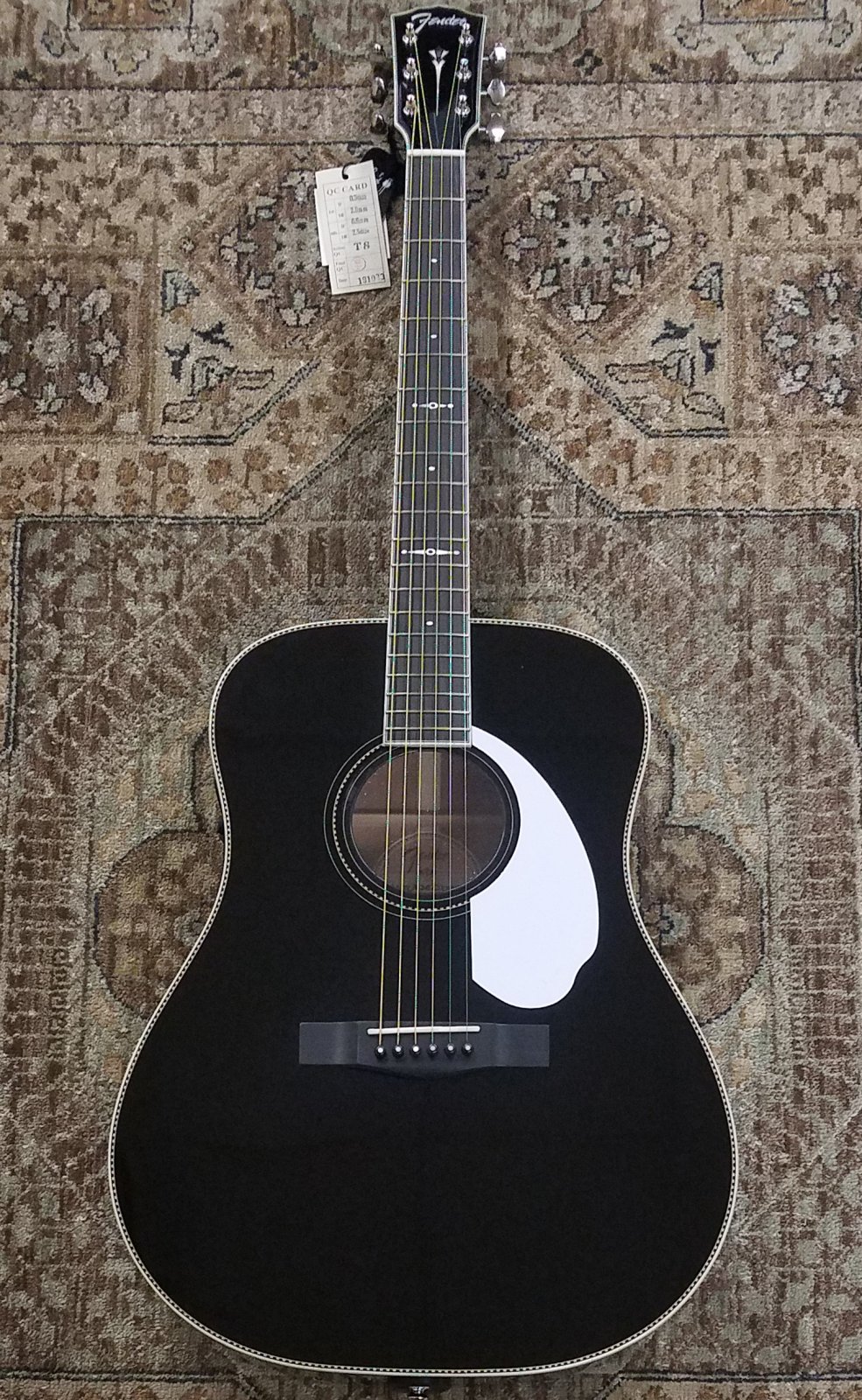 Fender Limited Edition PM1 Deluxe Dreadnought in Black w/ Case