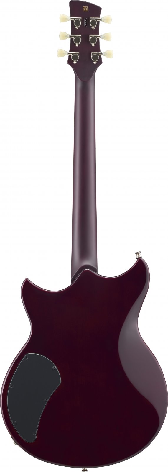RSS20_black_back.jpg