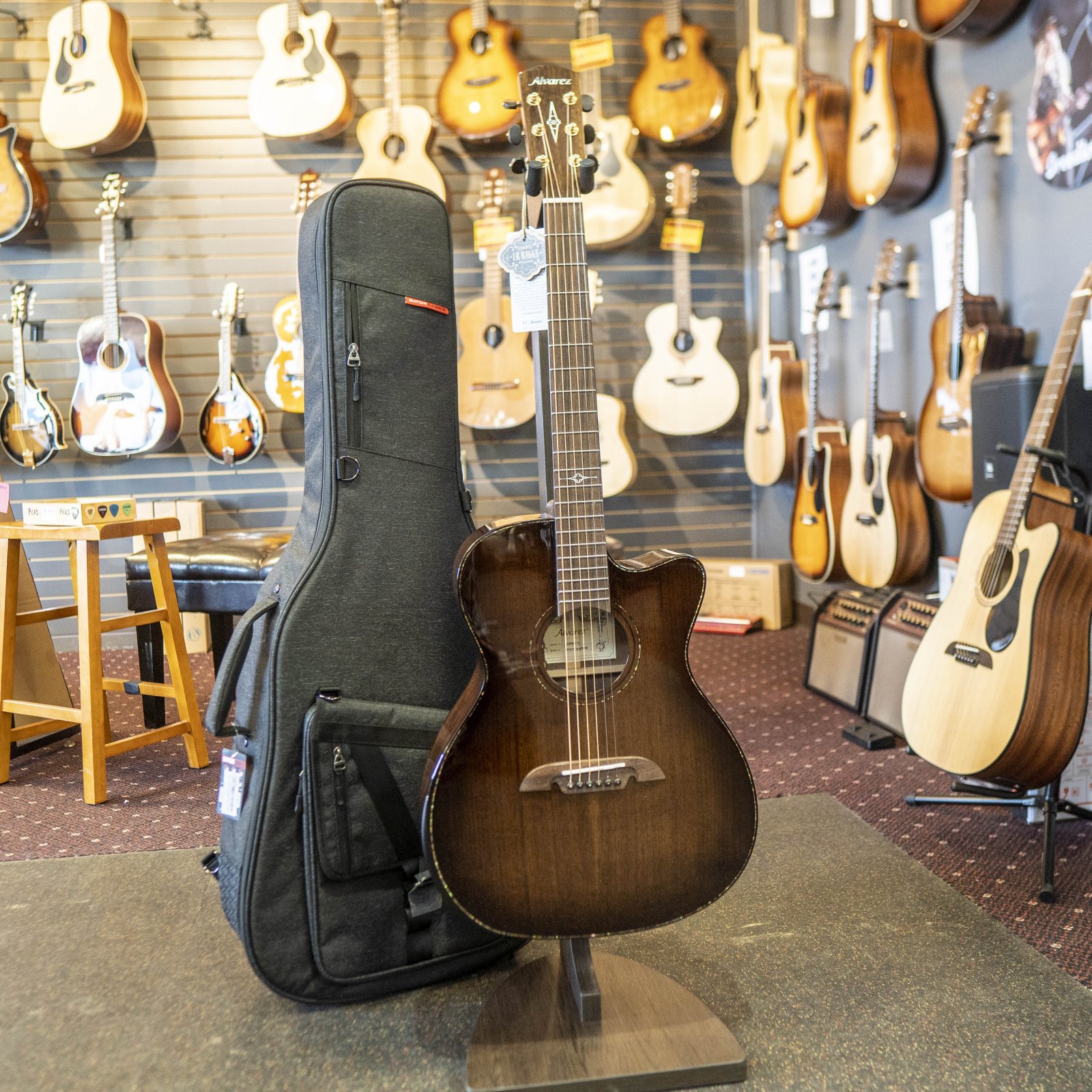 Fretted Instruments