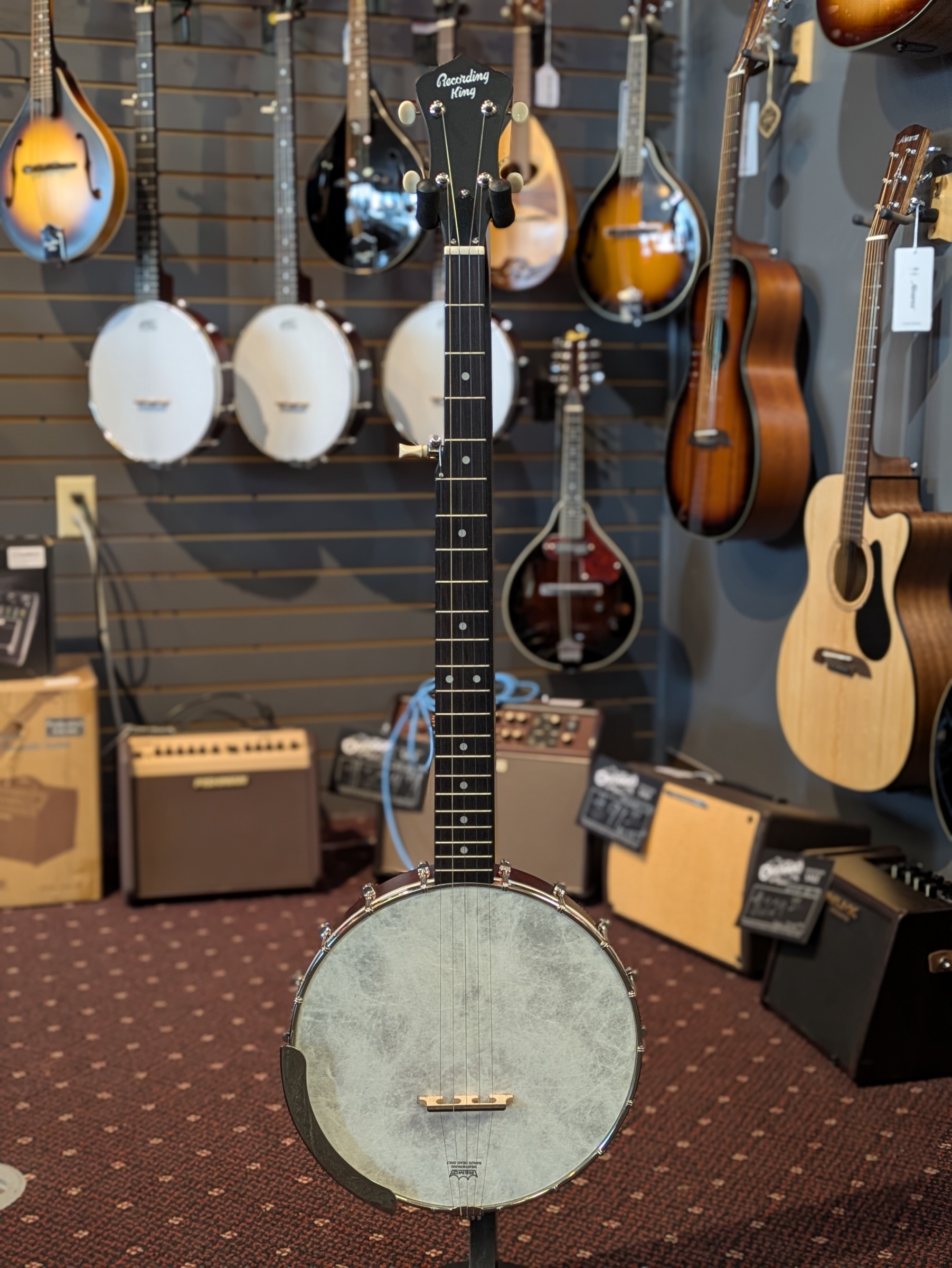 Recording King Dirty 30s Open Back Tone Ring 5-String Banjo RKOH-06 – Satin Dark Brown
