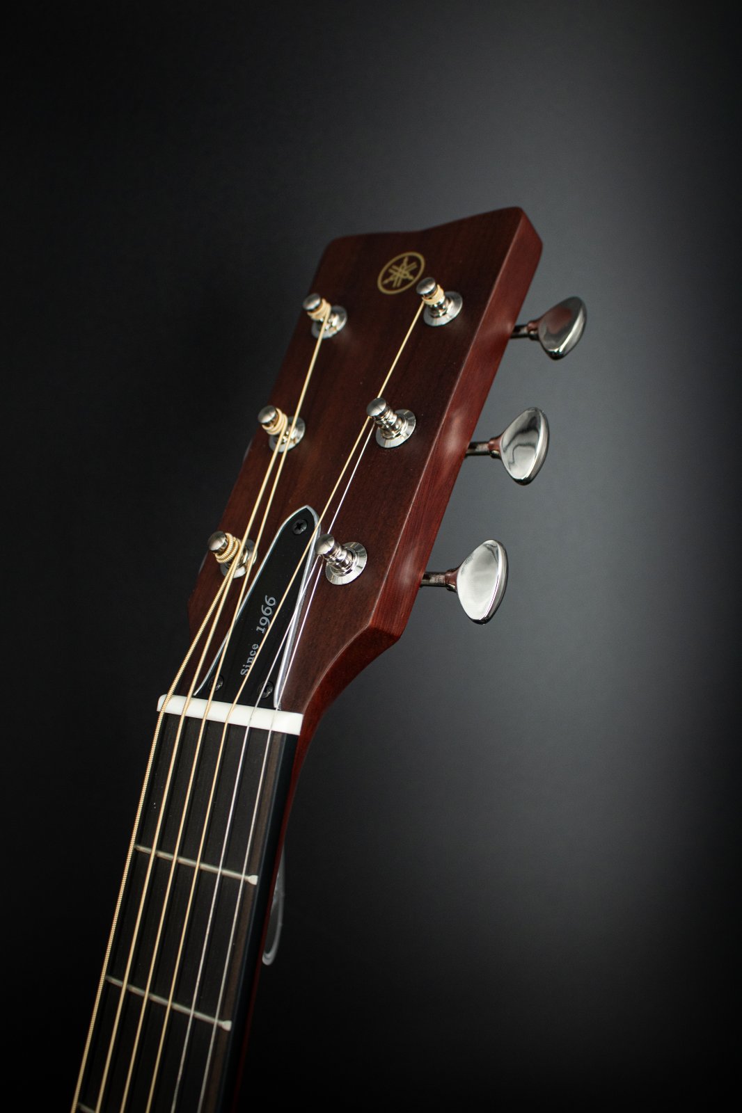 Yamaha Red Label FSX5 GL Acoustic-Electric Guitar - Natural