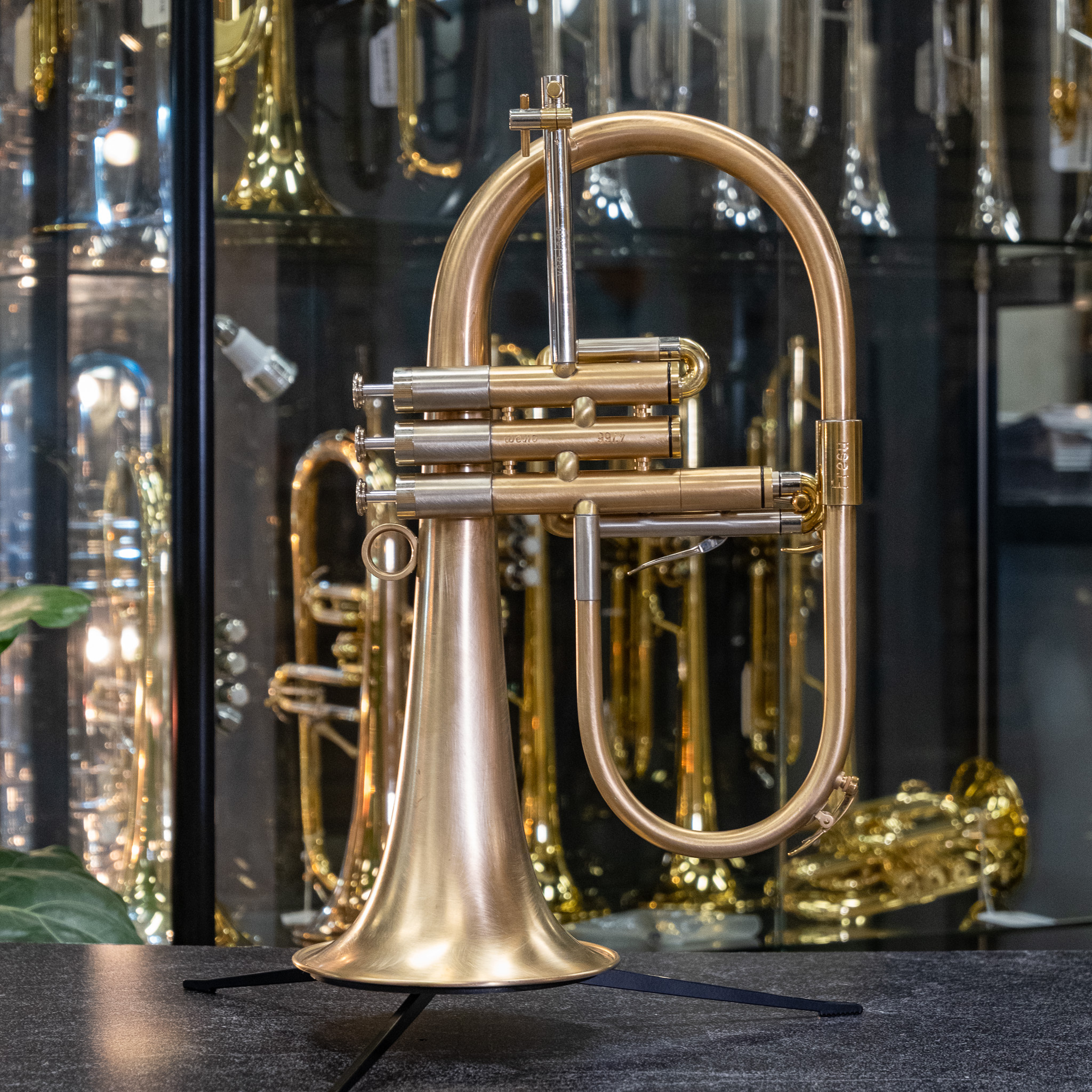 管楽器・吹奏楽器 Van Laar OIRAM Sandval gold-plated 管楽器・吹奏楽器 Van Laar OIRAM Sandval gold-plated Van Laar