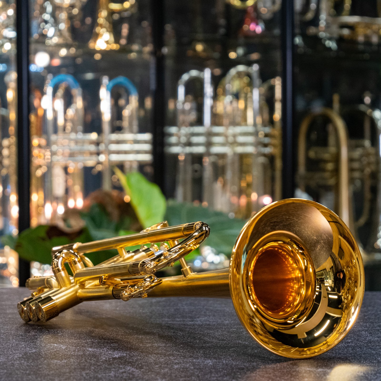 管楽器・吹奏楽器 Van Laar OIRAM Sandval gold-plated Van Laar OIRAM Sandval gold-plated