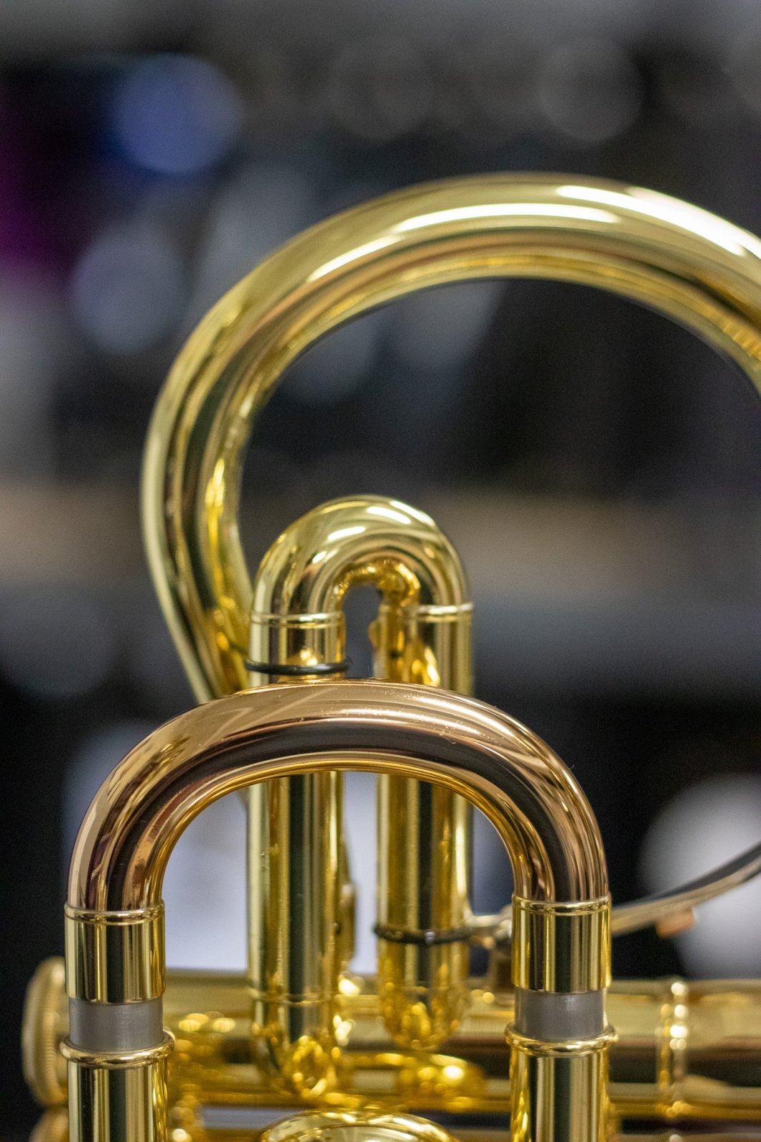 YAMAHA B♭cornet neo YCR8335S YCR-8335 - Overview - Cornets - Brass & Woodwinds - Musical