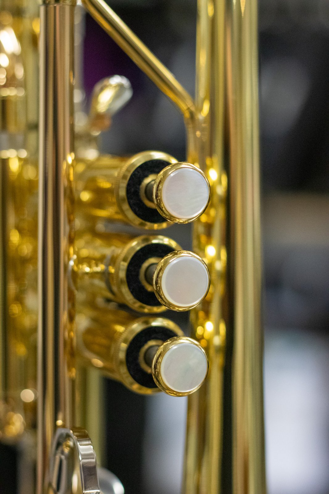 YAMAHA B♭cornet neo YCR8335S ycr-8335_540x540_tcm117-