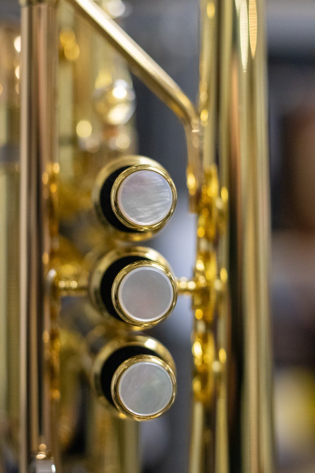 YAMAHA B♭cornet neo YCR8335S Yamaha YCR-8335 Neo Series Bb Cornet | Music & Arts