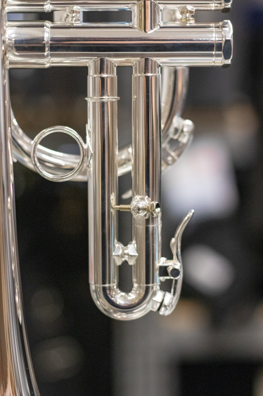シルキーC管コルネットA2C Schilke A2C C Cornet - New - 846867000121
